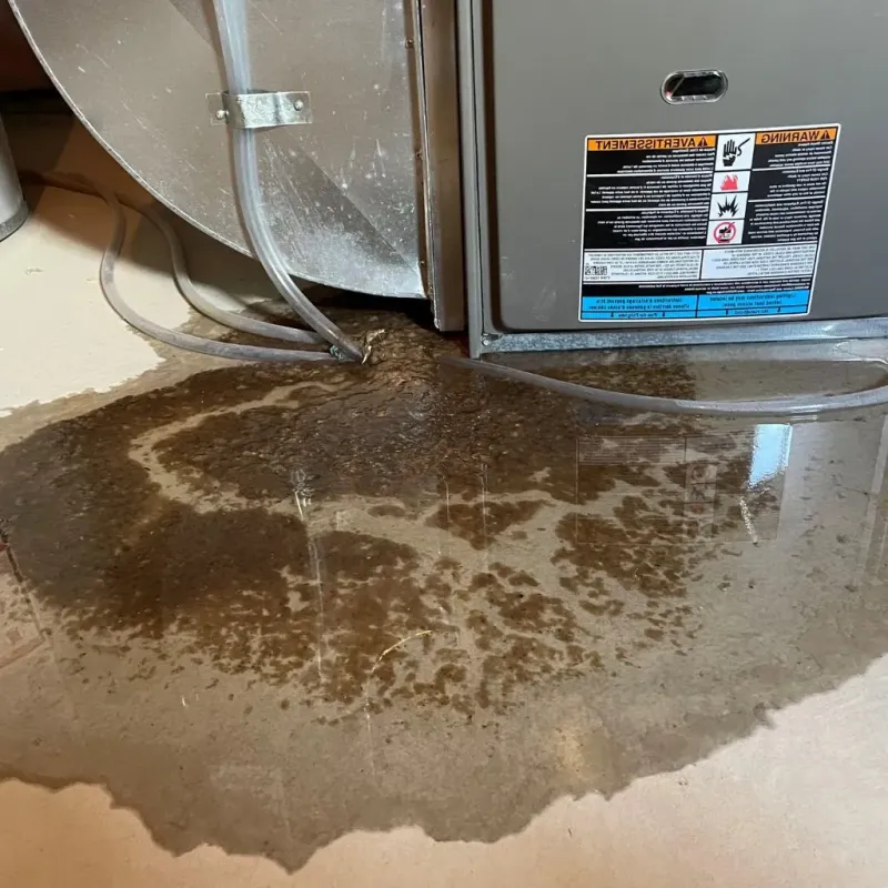 Pipe Burst and Leak Restoration in Westwood, KY
