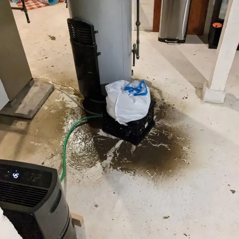 Sewage Backup Cleanup Service in Westwood, KY